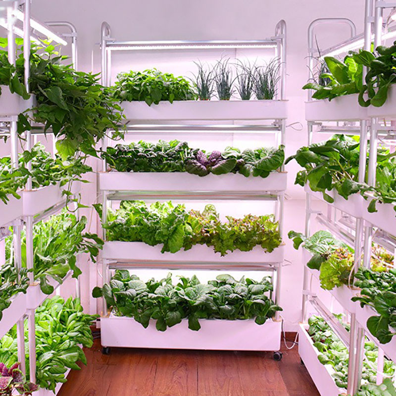Smart Garden Box - Hydrokultur-Anbausystem, vertikal, intelligent, für den Innenbereich,