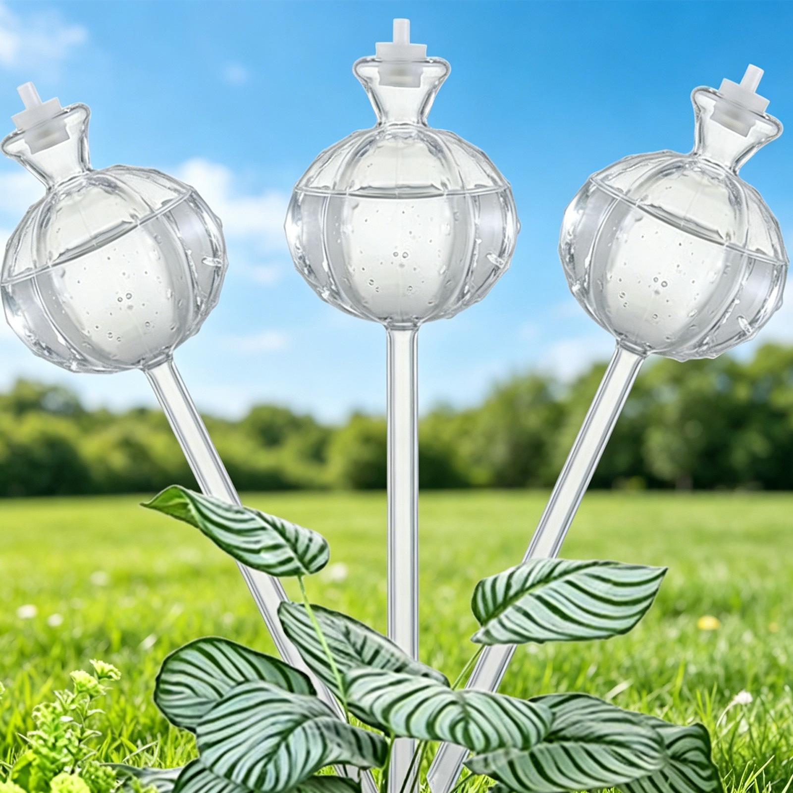 Plant Watering Globe - Selbstbewässernde Kugeln, 3 Stück, langsam freisetzende