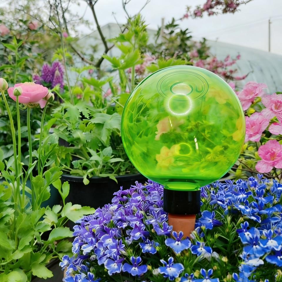 Plant Watering Globe - 3er-Set große selbstbewässernde Pflanzenkugeln aus Kunststoff