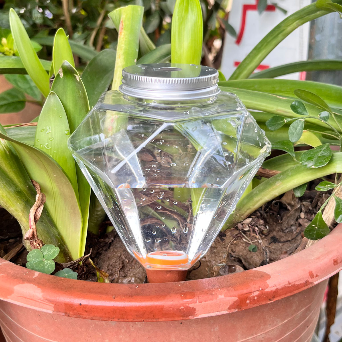 Plant Watering Globe - 1 Stück Niedliche Kunststoff-Bewässerungsmaschine Automatischer Pflanzenbewässerer