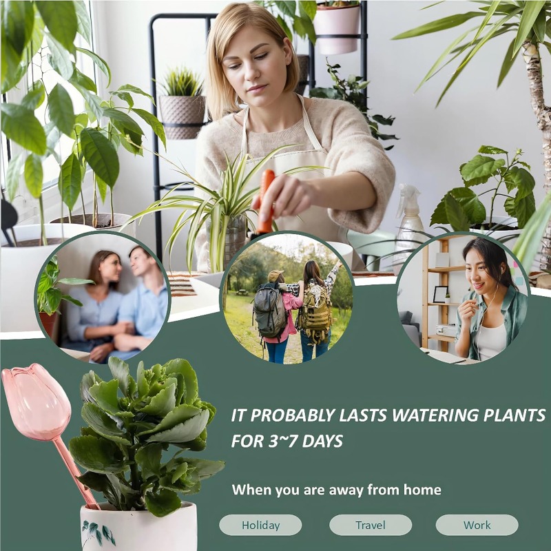 Rosa Tulpen-Pflanzenbewässerun – Plant Watering Globe Bewertung und Preis