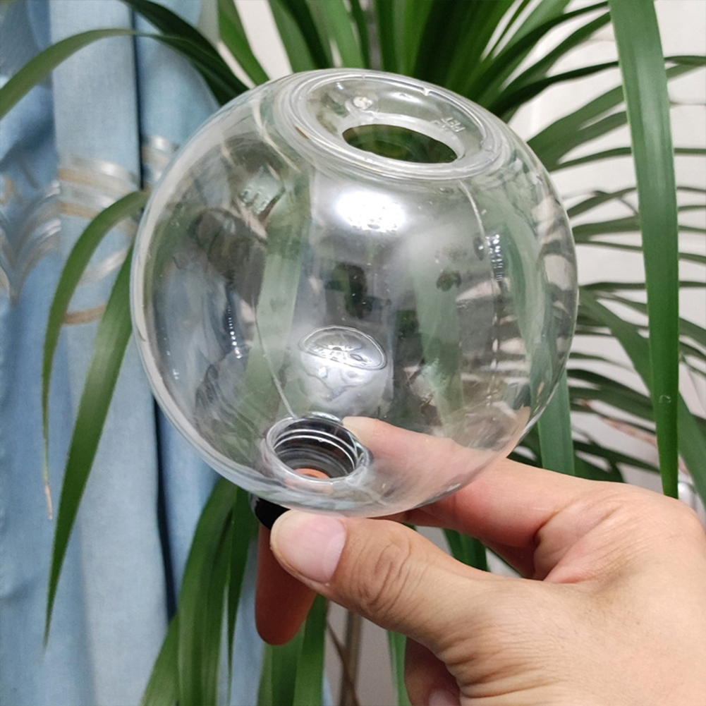 500ML Selbstbewässernde Kugeln – Plant Watering Globe Bewertung und Preis