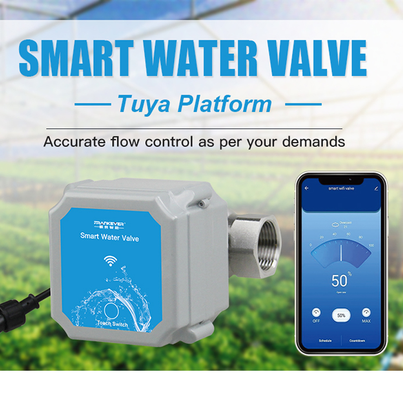 Tuya Zigbee oder WLAN Intellig – Smart Garden Gate Bewertung und Preis