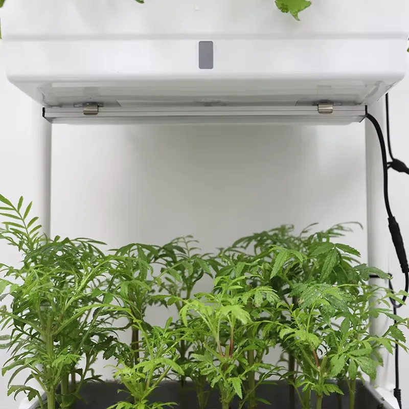 Beweglicher Vertikaler 3-Ebene – Smart Garden Box Bewertung und Preis
