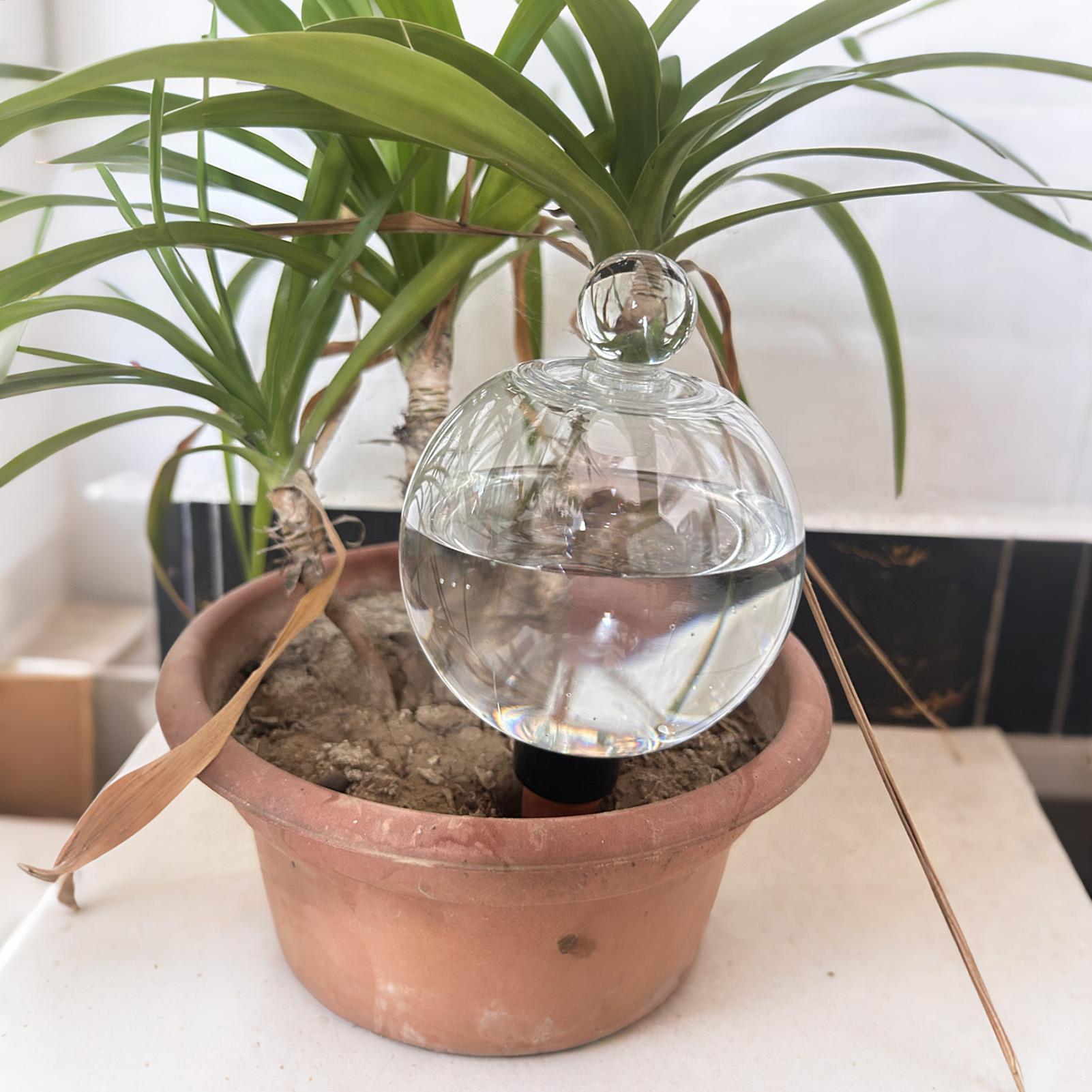 Pflanzenbewässerungskugeln, 4  – Plant Watering Globe Bewertung und Preis