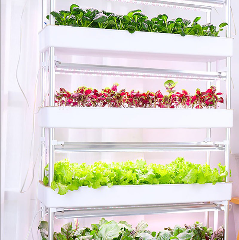 Hydrokultur-Anbausystem, verti – Smart Garden Box Bewertung und Preis