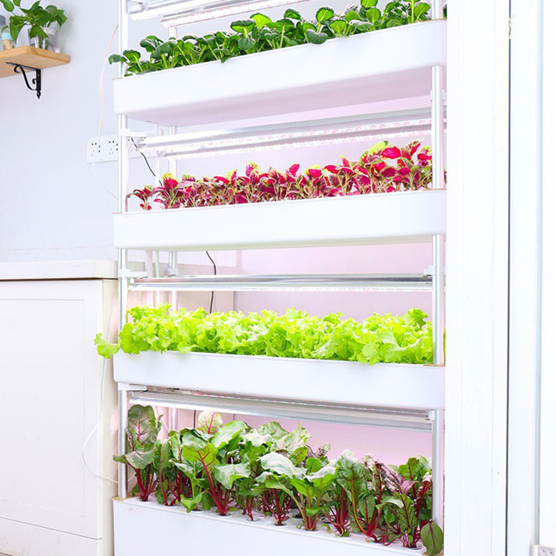 Hydrokultur-Anbausystem, verti – Smart Garden Box Bewertung und Preis
