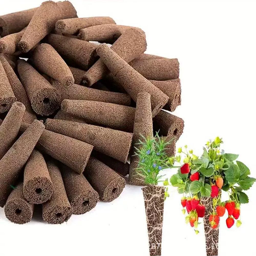 50 Stück Saatgut-Wachstumsschw – Aerogarden Seed Pod Bewertung und Preis