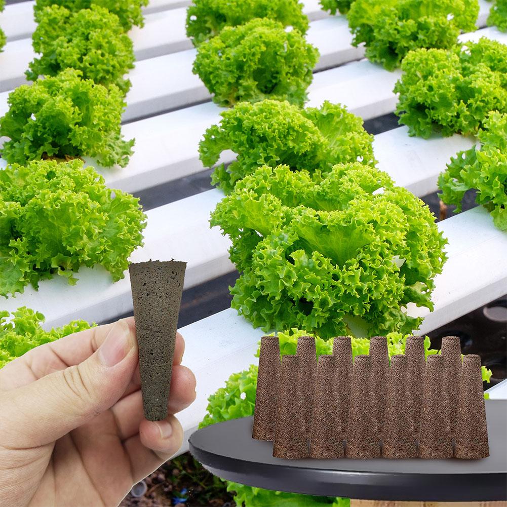 50 Stück Saatgut-Wachstumsschw – Aerogarden Seed Pod Bewertung und Preis