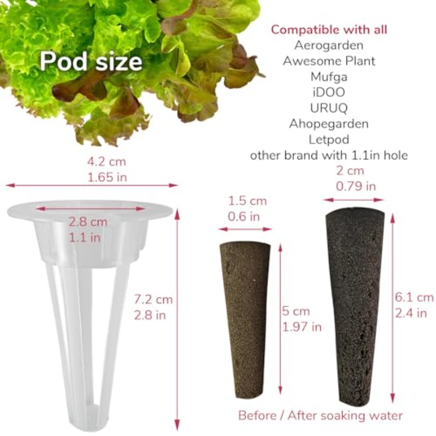 20-Pod-Saatgut-Set für Salatgr – Aerogarden Seed Pod Bewertung und Preis