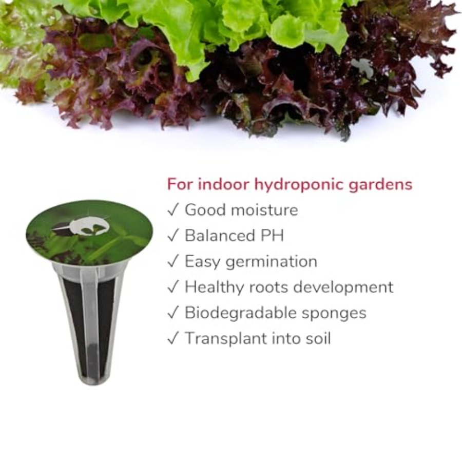 20-Pod-Saatgut-Set für Salatgr – Aerogarden Seed Pod Bewertung und Preis
