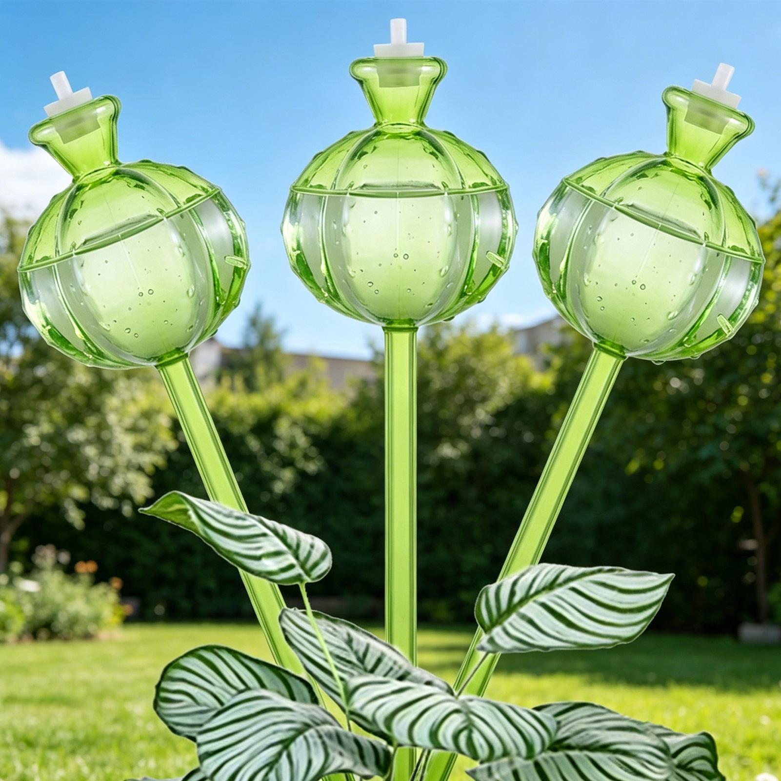 Selbstbewässernde Kugeln, 3 St – Plant Watering Globe Bewertung und Preis