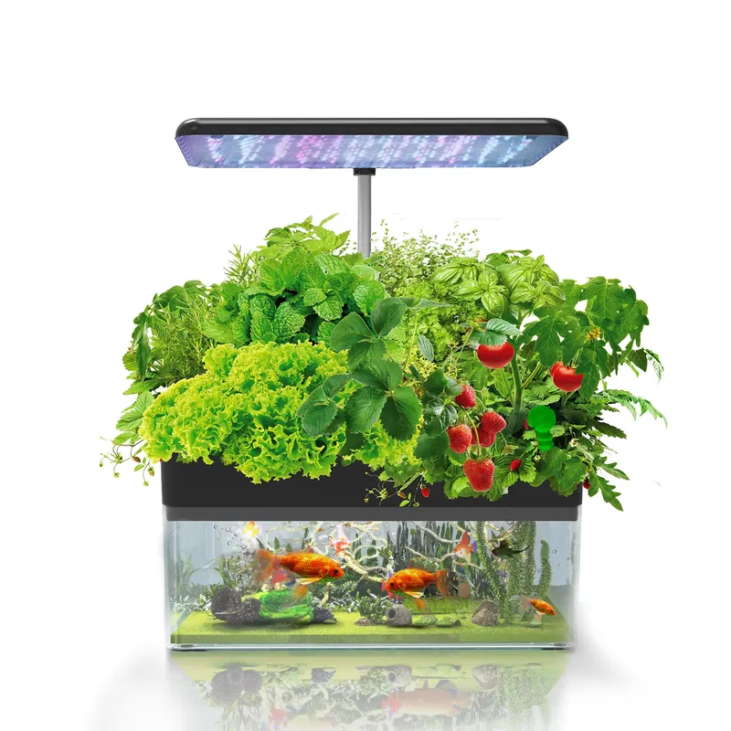 Marke IGS-70 Indoor Hydroponik – Smart Garden Usa Bewertung und Preis