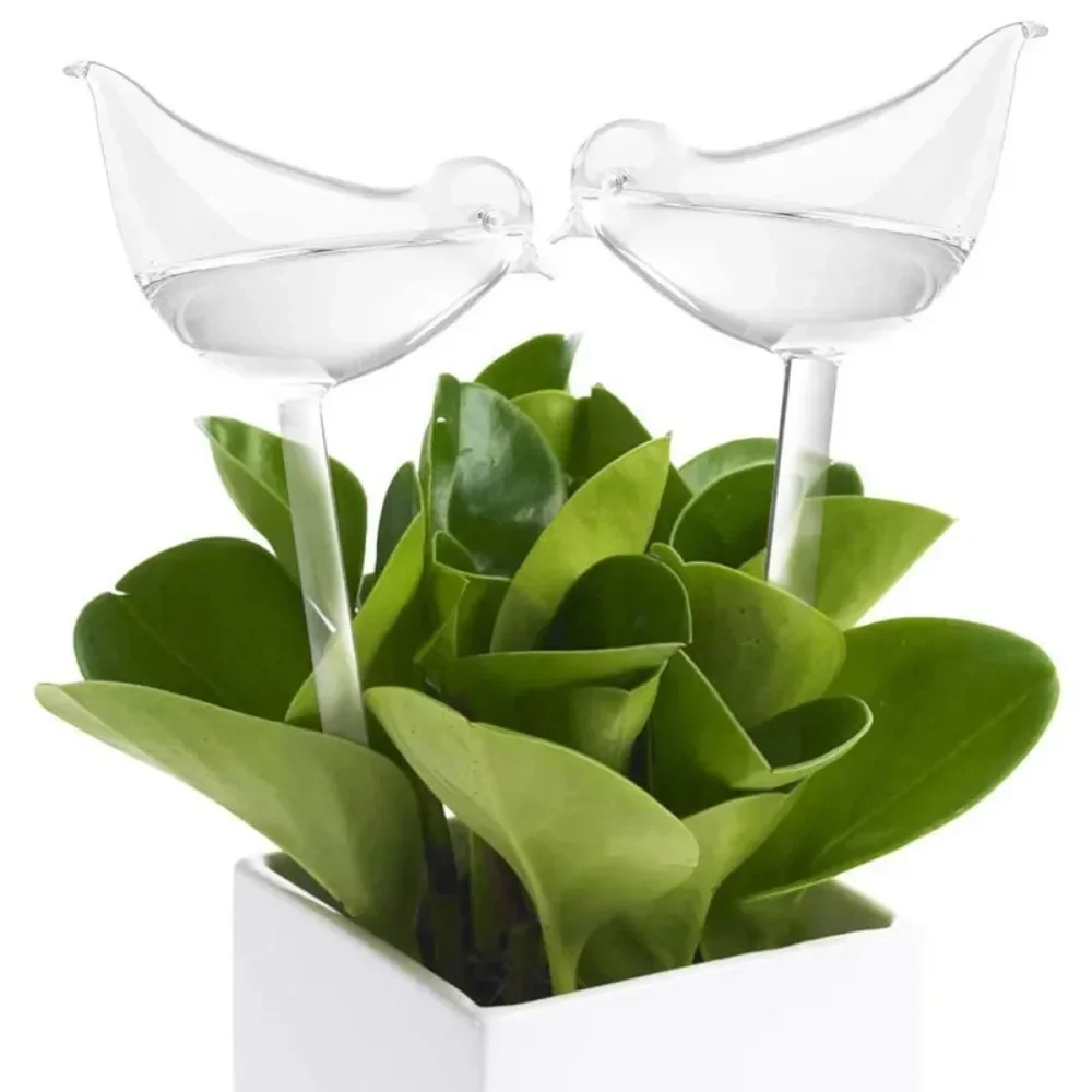 Vogelförmiges, klares automati – Plant Watering Globe Bewertung und Preis