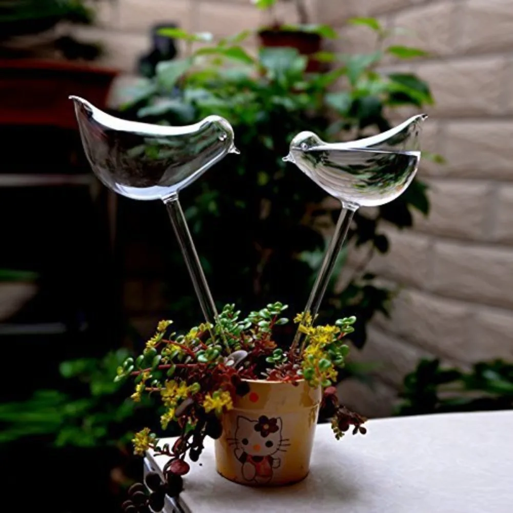 Vogelförmiges, klares automati – Plant Watering Globe Bewertung und Preis