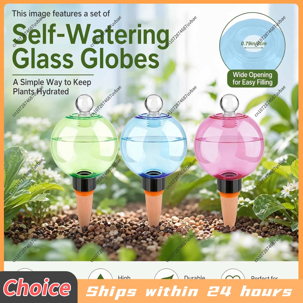 Automatische Selbstbewässerung – Plant Watering Globe Bewertung und Preis