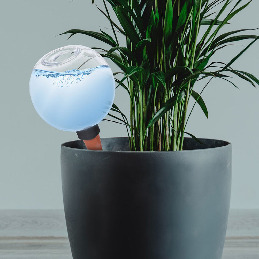 3-teiliges Bewässerungssystem  – Plant Watering Globe Bewertung und Preis