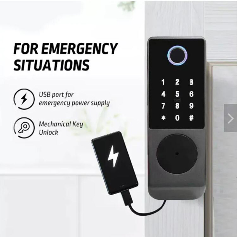 Wifi Tuya Smart Lock Wasserdic – Smart Garden Gate Bewertung und Preis
