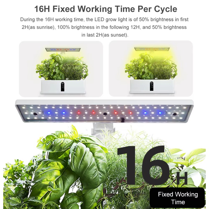 9-Pods Smart Hydroponisches An – Smart Garden Usa Bewertung und Preis