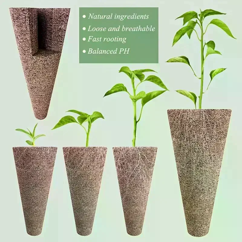 Robuste Hydroponik-Zubehörteil – Aerogarden Seed Pod Bewertung und Preis