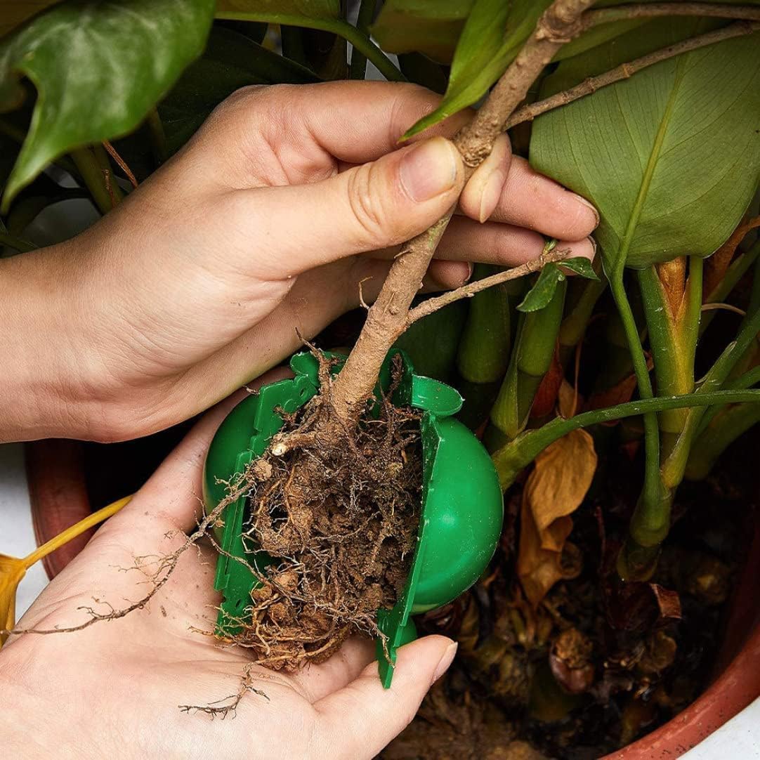 Wiederverwendbare Pflanzenverm – Smart Garden Box Bewertung und Preis