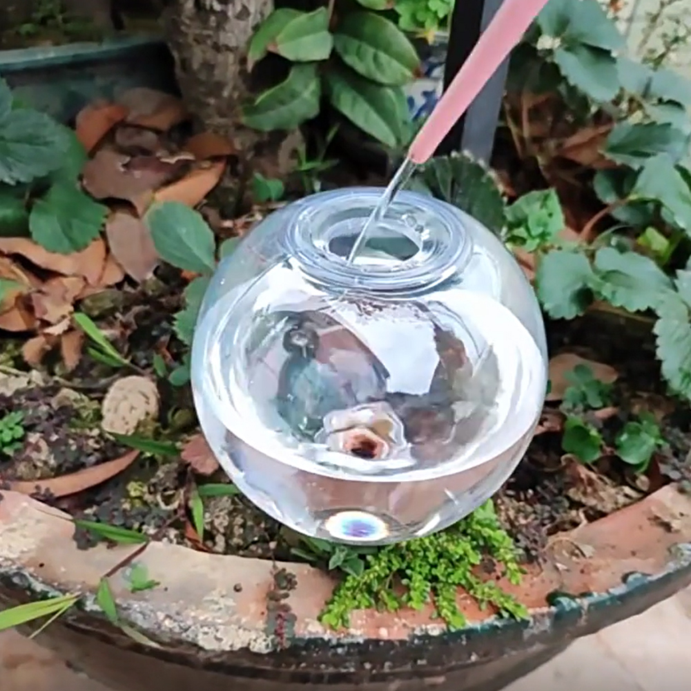 500ML Selbstbewässernde Globen – Plant Watering Globe Bewertung und Preis