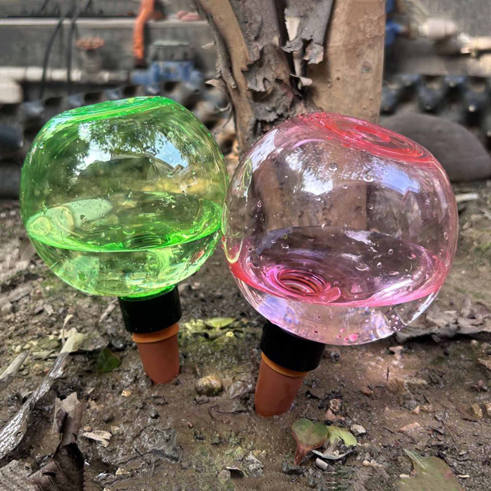 1/4 Stück Bewässerungskugeln,  – Plant Watering Globe Bewertung und Preis
