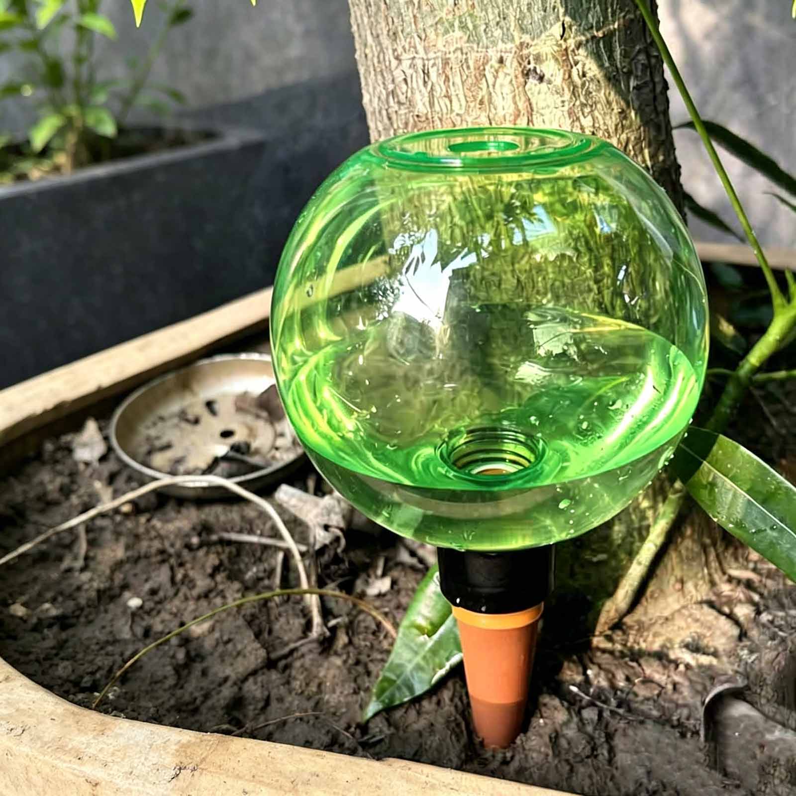 1/4 Stück Bewässerungskugeln,  – Plant Watering Globe Bewertung und Preis