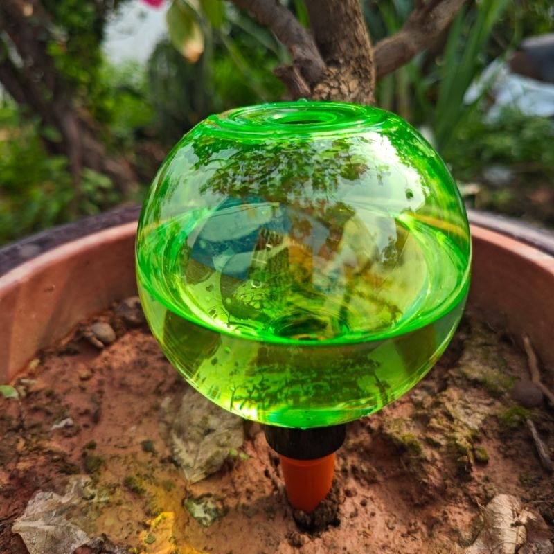 3er-Set große selbstbewässernd – Plant Watering Globe Bewertung und Preis