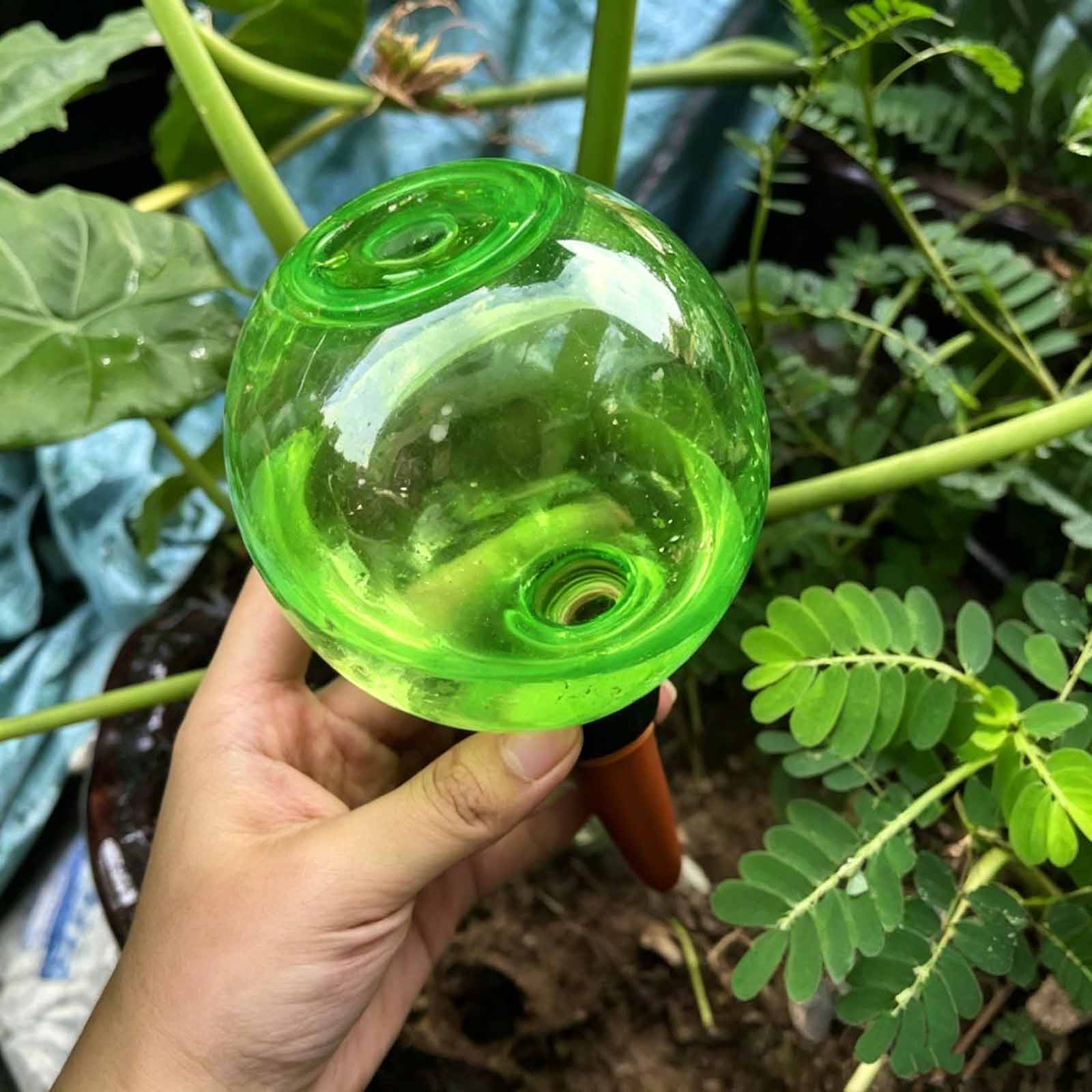 1/4 Stück Pflanzen-Selbstbewäs – Plant Watering Globe Bewertung und Preis