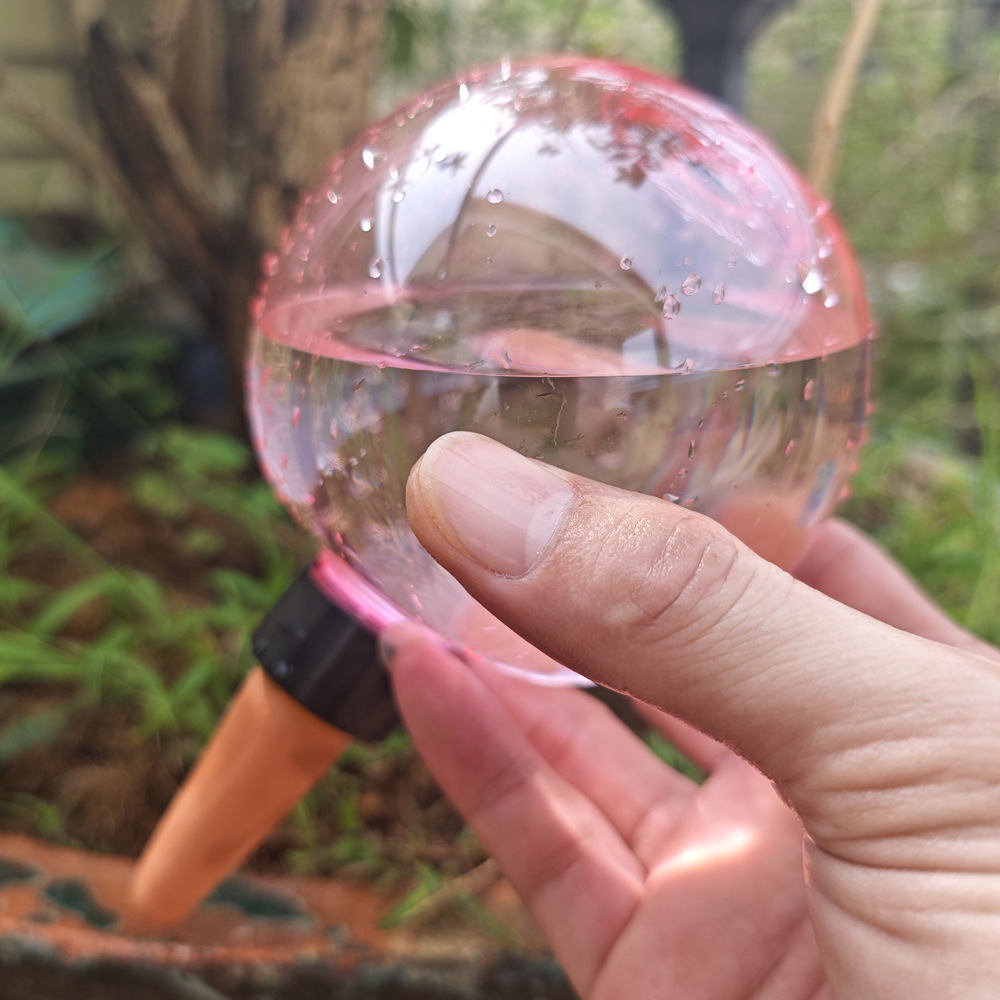 1/4 Stück Pflanzen-Selbstbewäs – Plant Watering Globe Bewertung und Preis