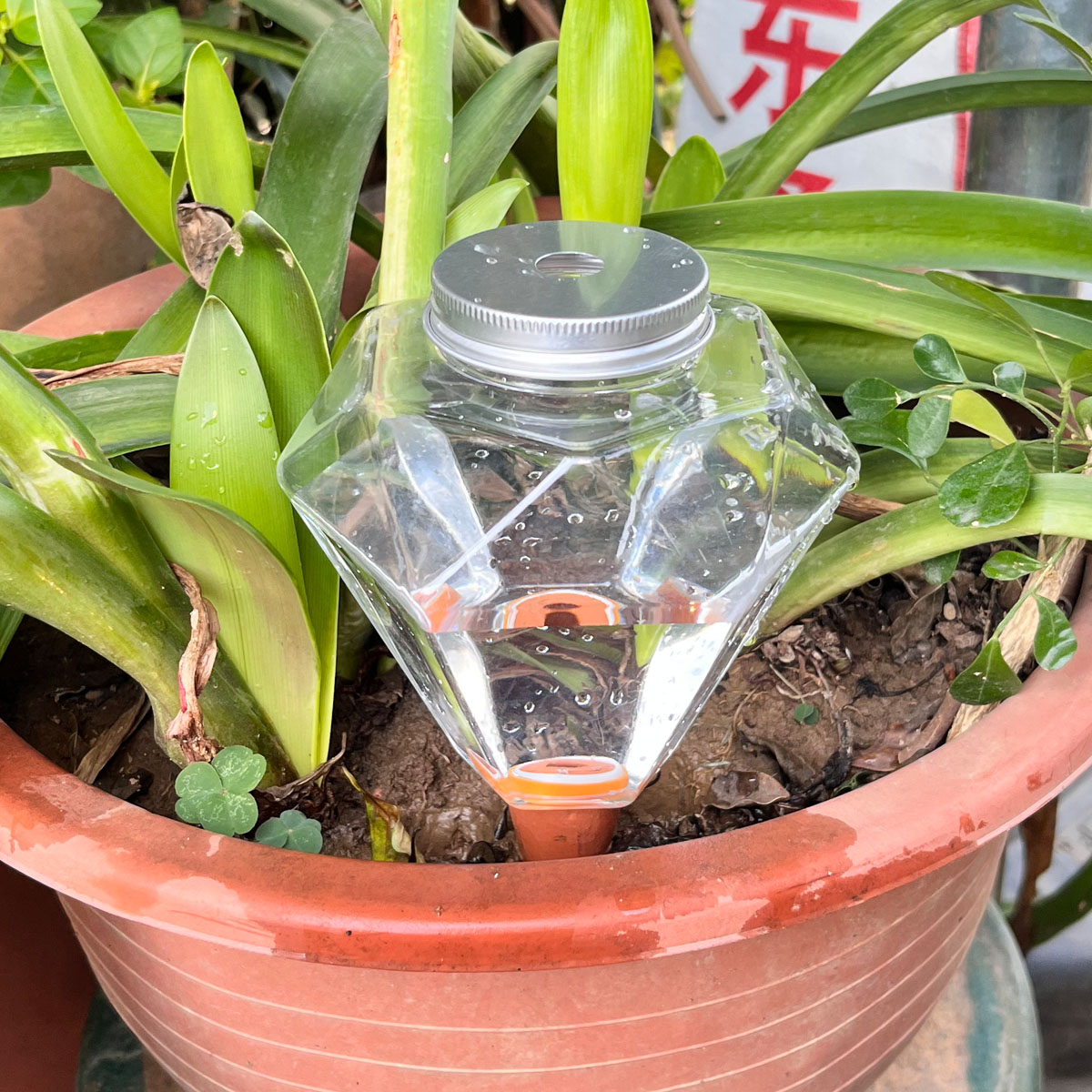 1 Stück Niedliche Kunststoff-B – Plant Watering Globe Bewertung und Preis