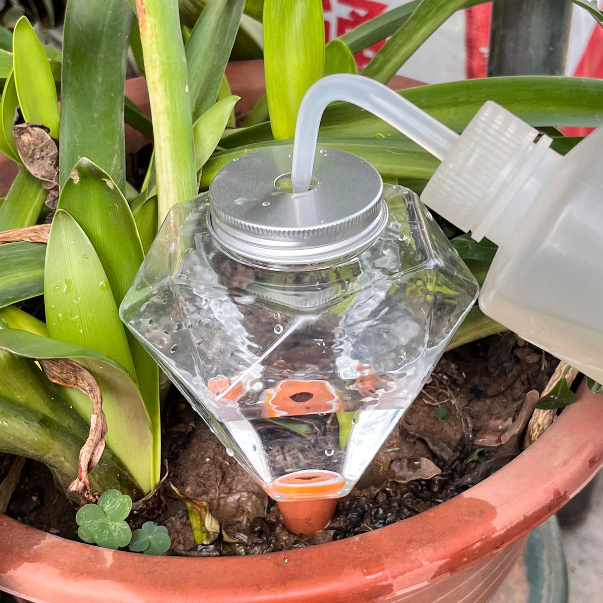 1 Stück Niedliche Kunststoff-B – Plant Watering Globe Bewertung und Preis