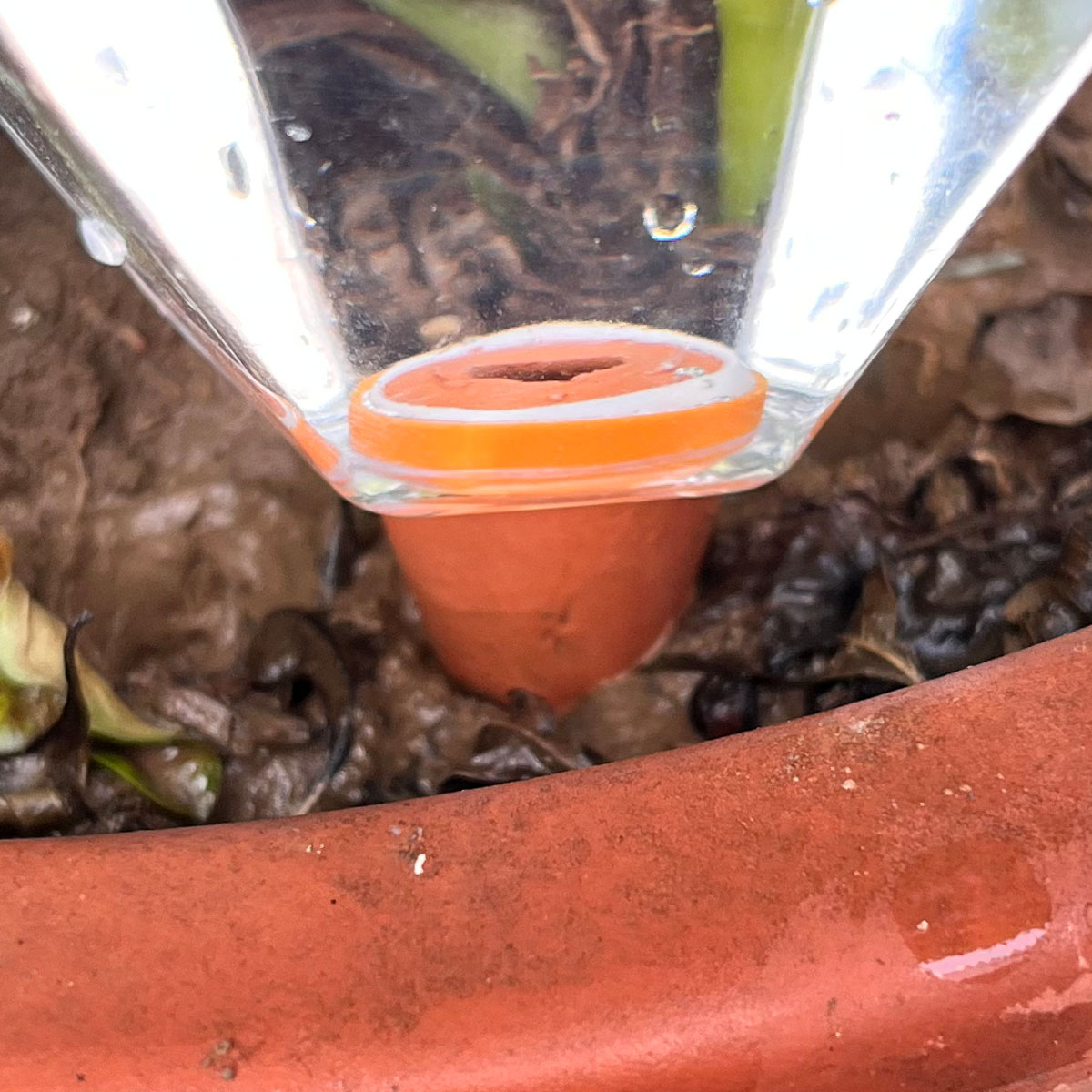 1 Stück Niedliche Kunststoff-B – Plant Watering Globe Bewertung und Preis