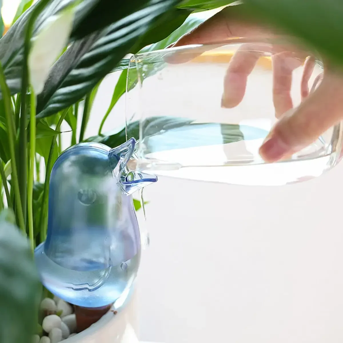 Hochwertiger automatischer Blu – Plant Watering Globe Bewertung und Preis
