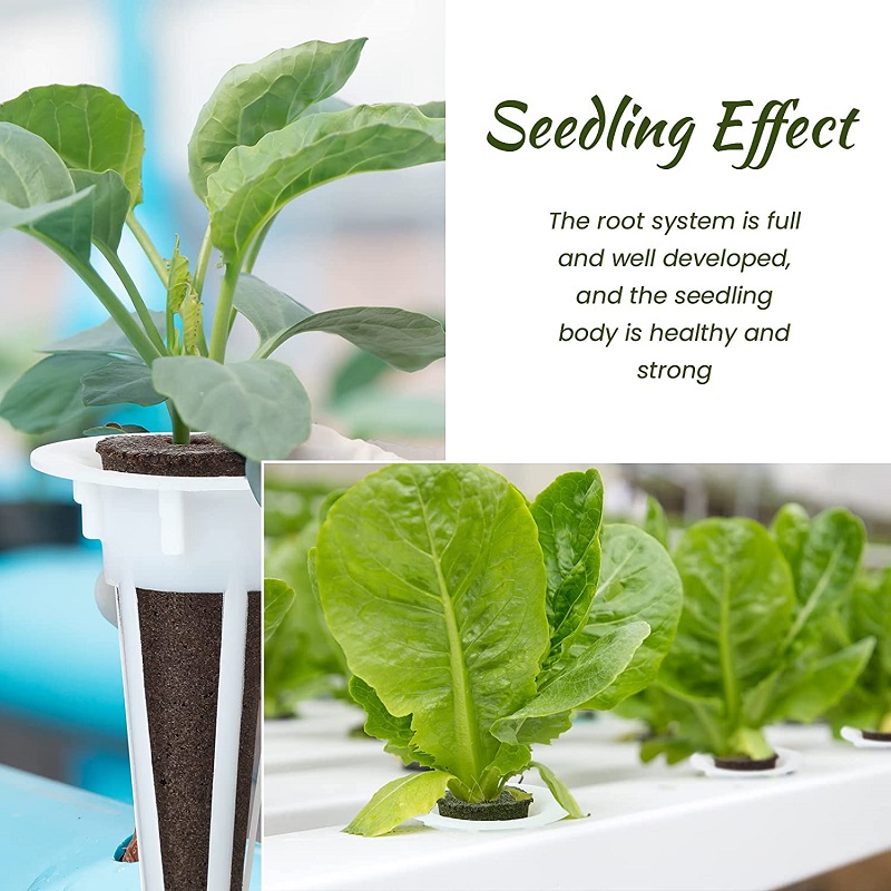 50/100 stücke Anlage Wachsen K – Aerogarden Seed Pod Bewertung und Preis