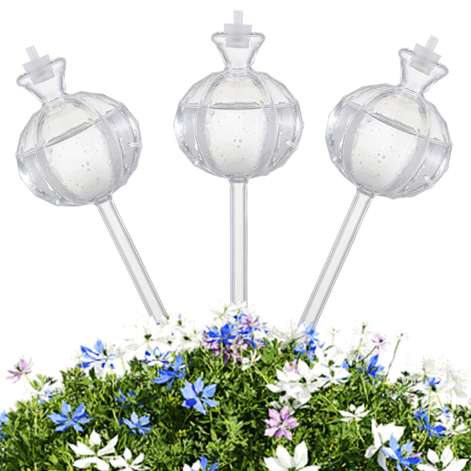 Pflanzenbewässerungskugeln, 3  – Plant Watering Globe Bewertung und Preis