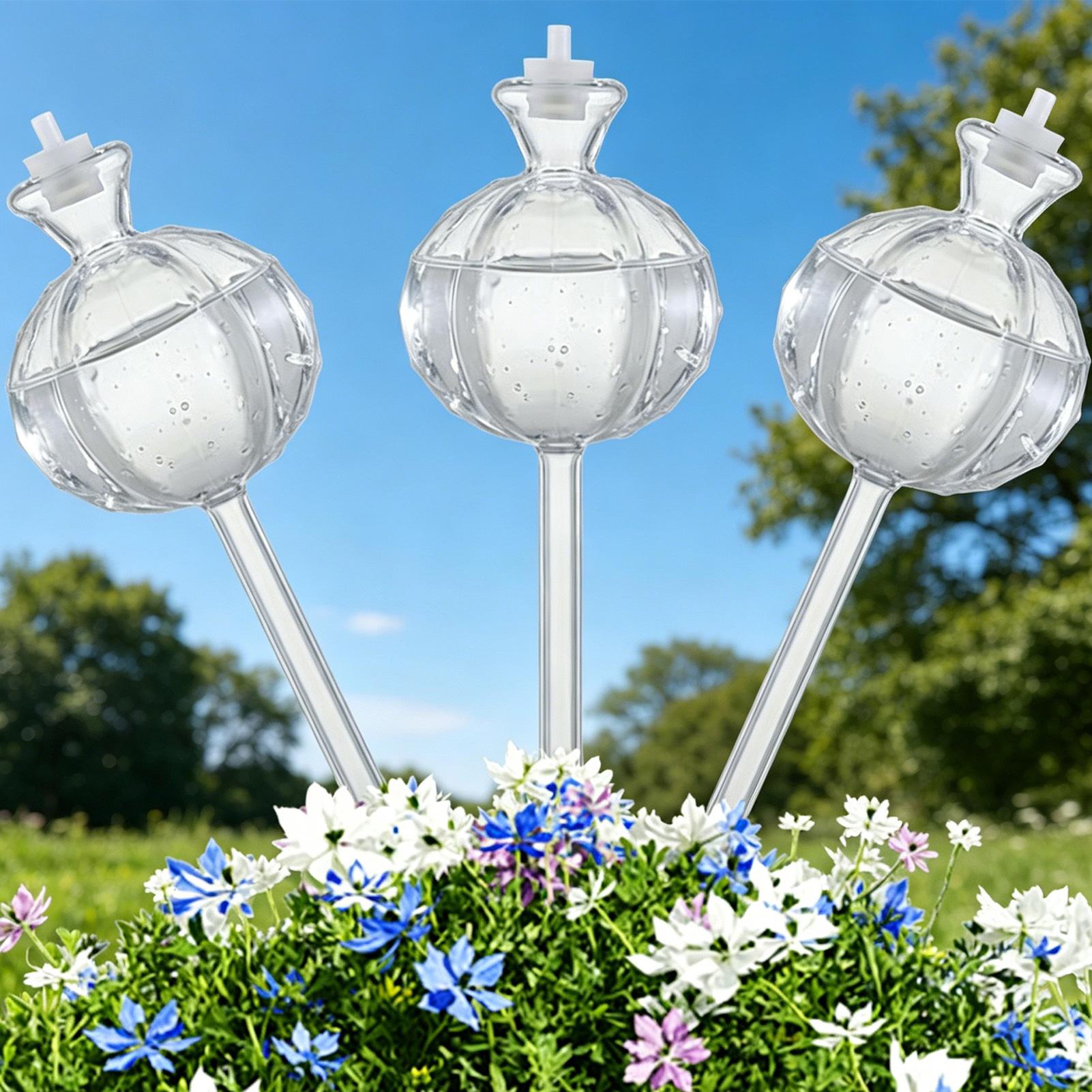 Pflanzenbewässerungskugeln, 3  – Plant Watering Globe Bewertung und Preis